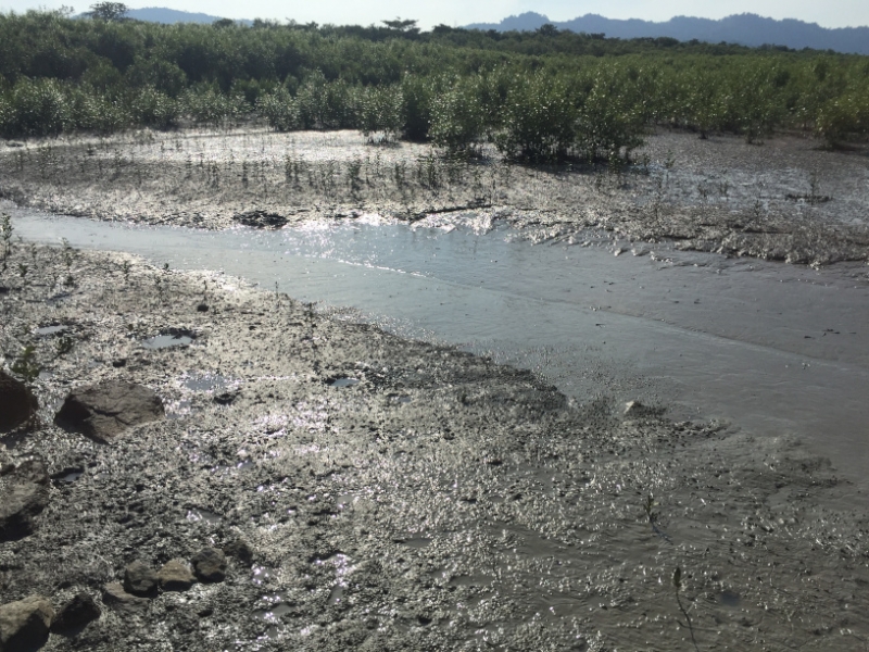 4877 30-12-18  river
