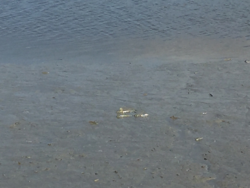 4880 30-12-18  river