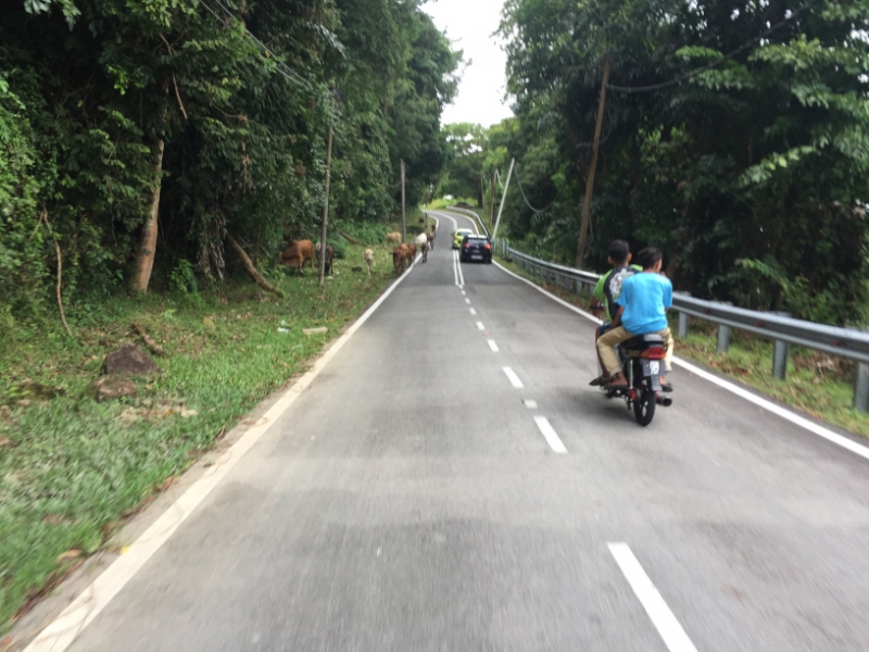 4900 30-12-18 sharing the road