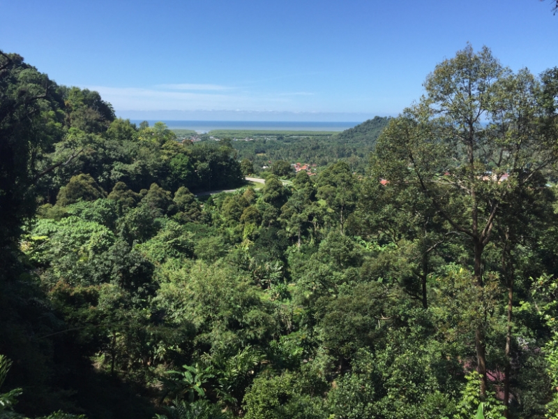 4932 31-12-18 View