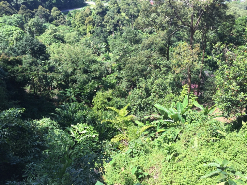 4933 31-12-18 View