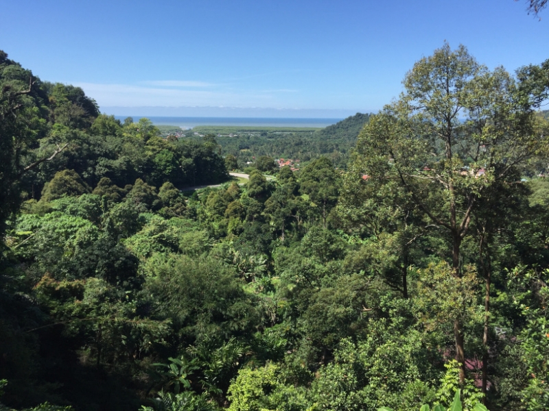 4934 31-12-18 View