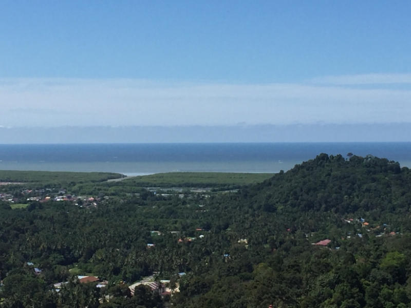 4936 31-12-18 View