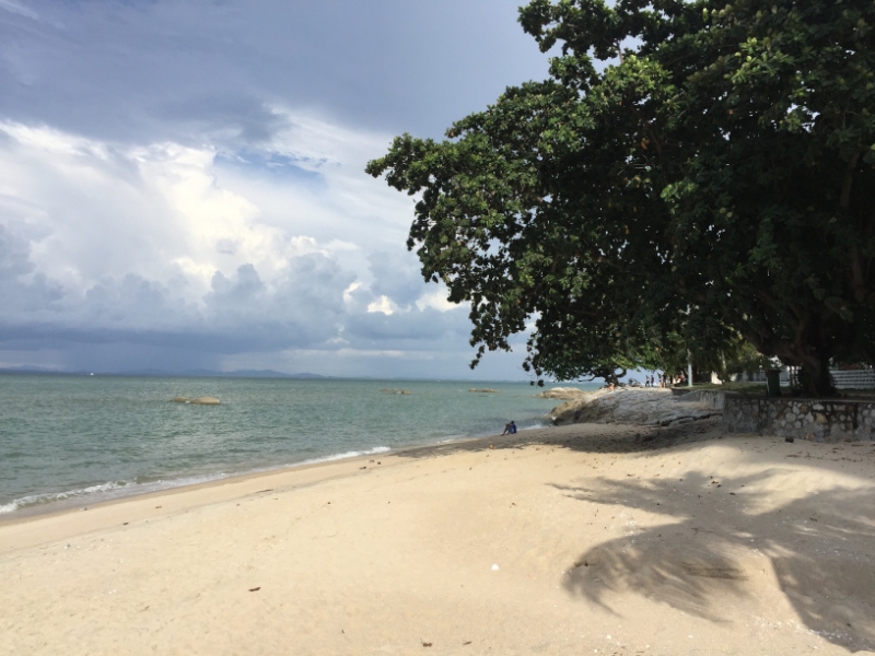 4948 31-12-18 beach