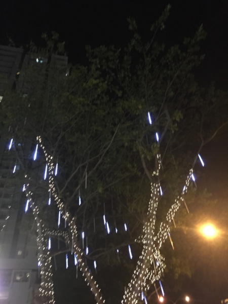 4956 31-12-18 Lights