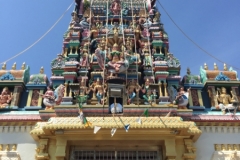 4659 -24-12-18  temple