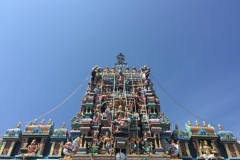 4660 -24-12-18  temple