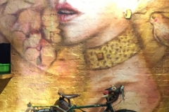 4667 -24-12-18  street art
