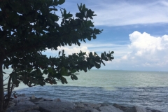 4693 -25-12-18  seaview