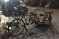 4703 -25-12-18  Carrier bike
