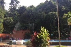 4728 -26-12-18  Pool