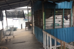 4737 -26-12-18  jetty