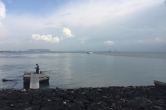 4738 -26-12-18  jetty