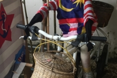 4753 -27-12-18  cycling scarecrow