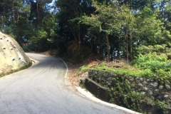 4787 -28-12-18  Bend in the road