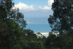 4796-28-12-18  view