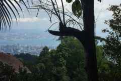 4798-28-12-18  view