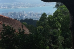 4799-28-12-18  view