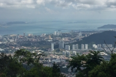 4807 -28-12-18 view