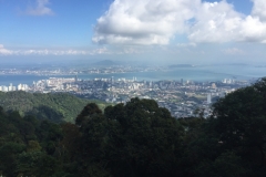 4811 -28-12-18 view