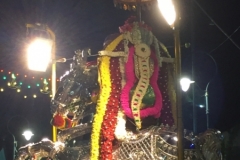 4827  -28-12-18 parade