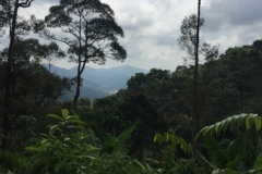4843  -29-12-18 view