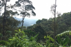 4844  -29-12-18 view