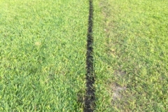 4856  -29-12-18 football pitch