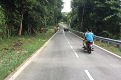 4900 30-12-18 sharing the road