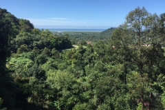 4932 31-12-18 View