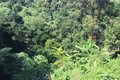 4933 31-12-18 View