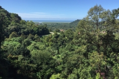 4934 31-12-18 View
