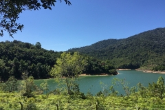 4939 31-12-18 View