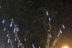 4956 31-12-18 Lights