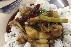 4960 31-12-18 meal