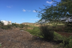 1203 4-12 view