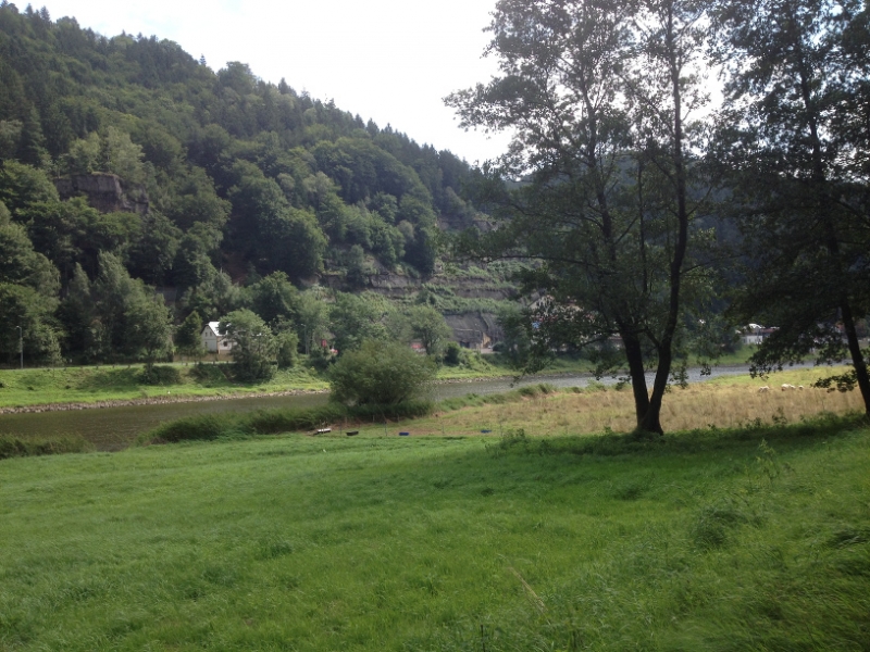 0079 8-8 view