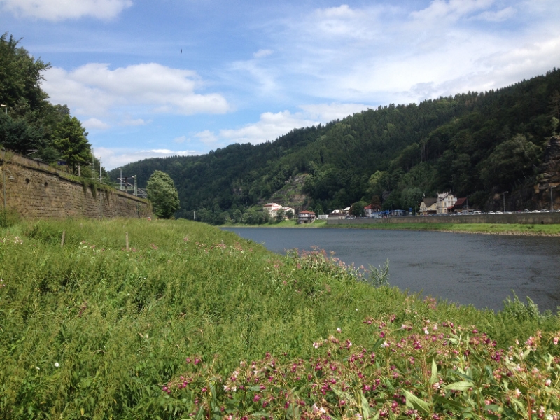 0081 8-8 view