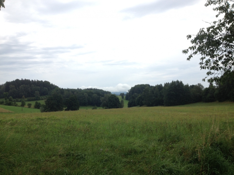0167 11-8 view