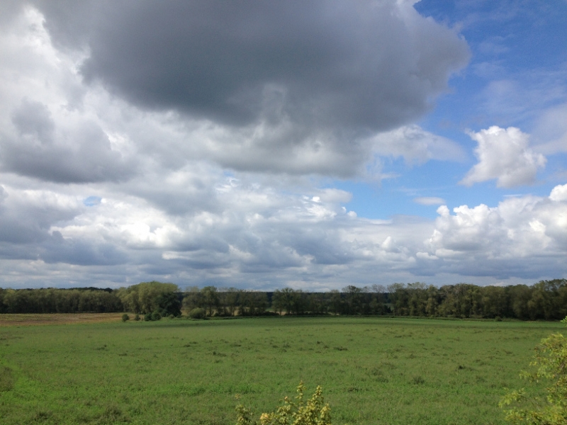0202 13-8 Cloudy view