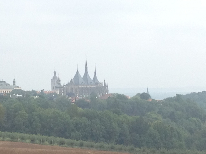 0213 14-8 misty view