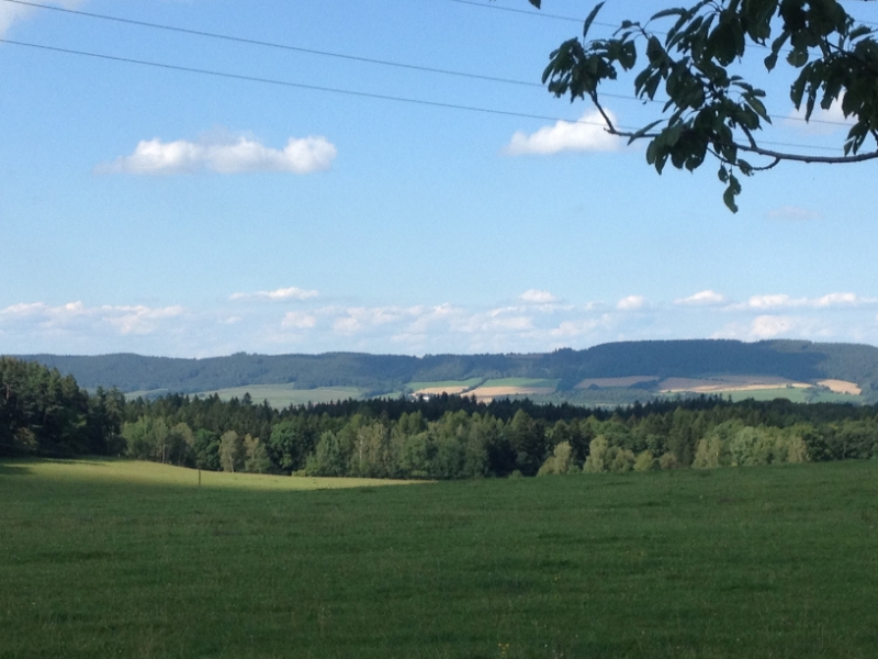 0223 14-8 view