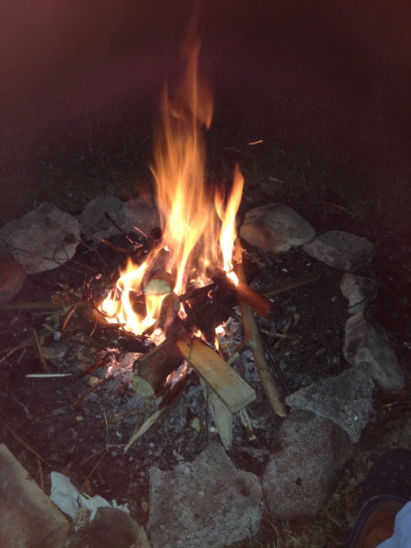 0229 14-8 campfire