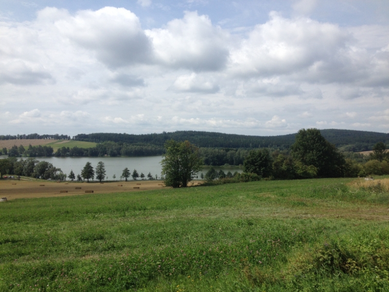 0239 16-8  view