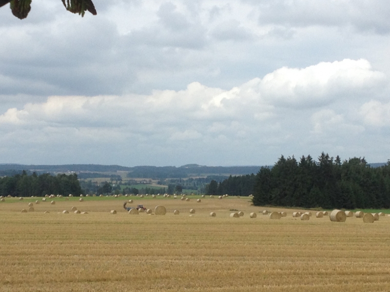 0244 16-8 Hay bales