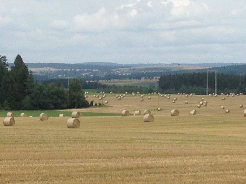 0245 16-8 Hay bales