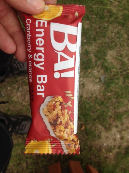 0249 16-8  energy bar
