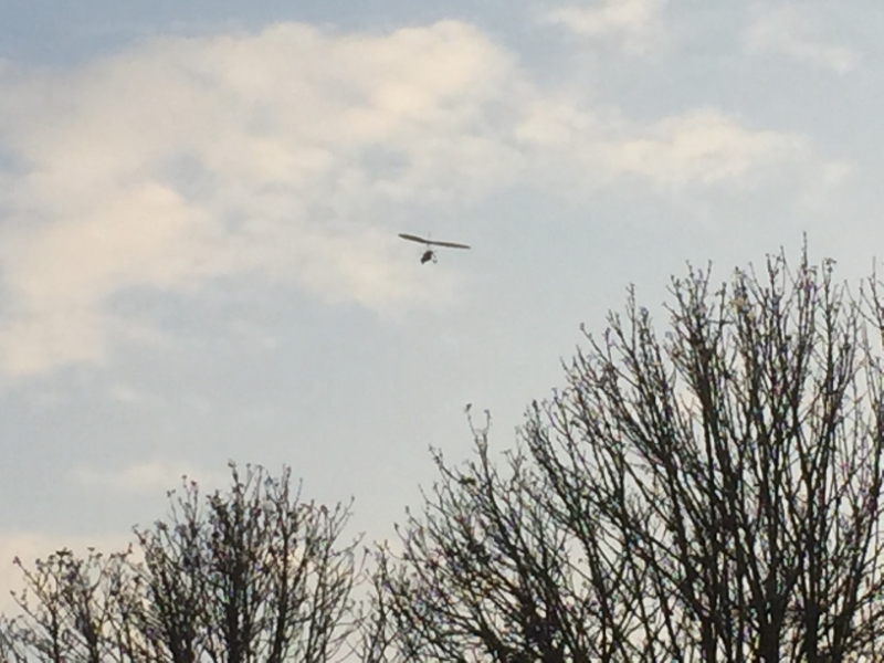 0281  18-8 microlite