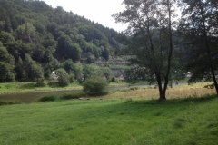 0079 8-8 view