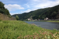 0081 8-8 view